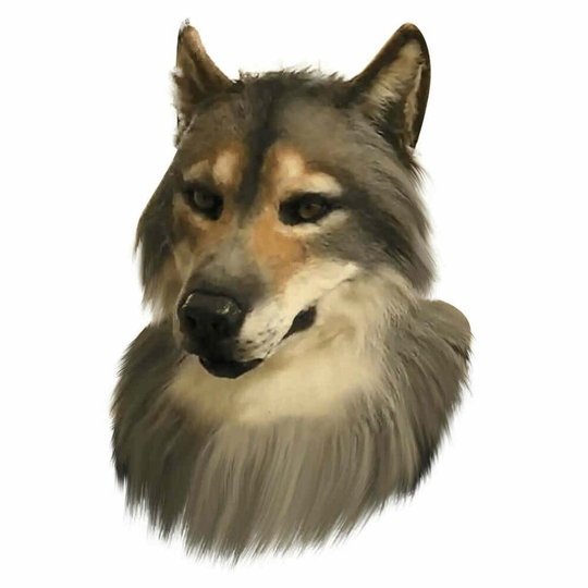Werewolf Costume Party Halloween Wolf-headed Mask Latex Rubber Wolf Head Simulation Animal Wolf Face Masks Cosplay Masker