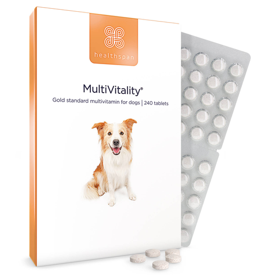 Healthspan Multivitality For Dogs 240 Tablets