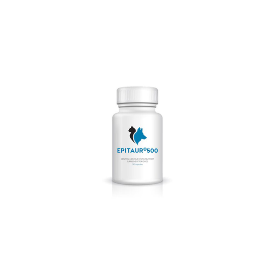 Epitaur 500 Central Nervous System Supplements Pack 90