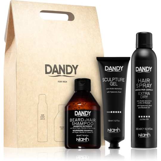 DANDY Styling gift set Gift Set for Men
